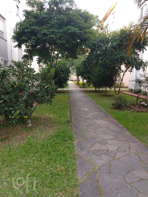 Image 10 - 248496